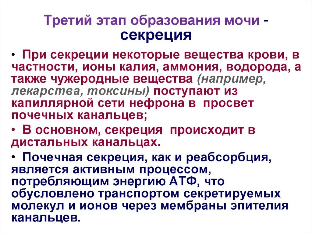 Третий этап обучения