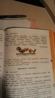 Петух приходил на рыбалку сюда день каждый