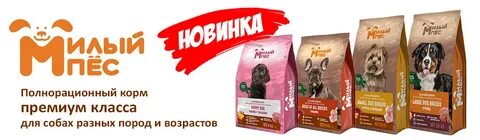 Зоомир корм для собак
