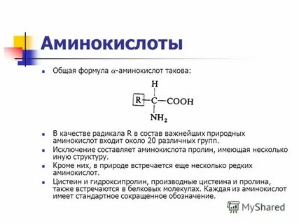 Формула аминокислоты в общем виде