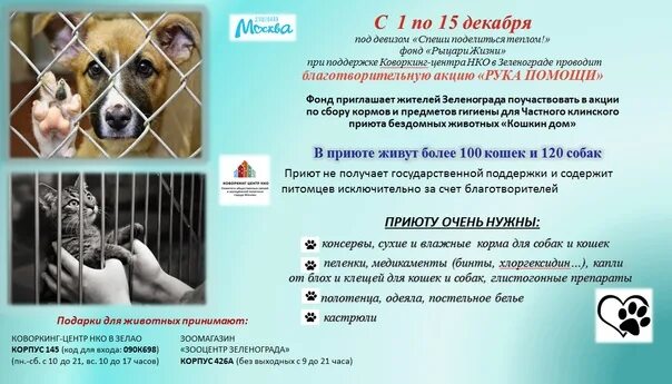 Приют кошкин дом адрес. Приют кошкин дом адрес. Приют кошкин дом адрес. Приют кошкин дом адрес. Благотворительная выставка афиша.