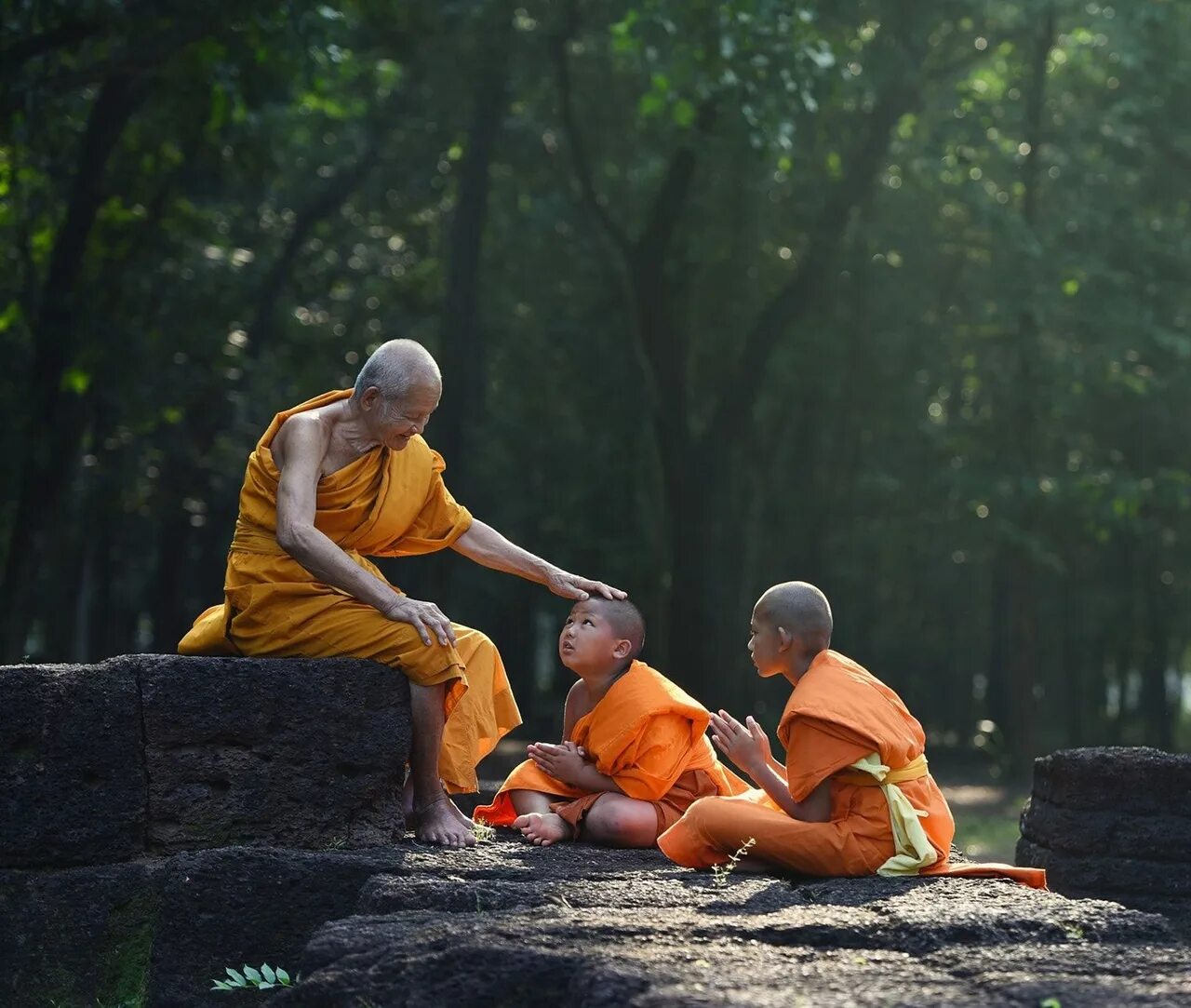 9 детей дзен. Буддийская монашеская школа дзэн (дзен). Буддийский монах. Медитация буддизм. Ученики буддисты.
