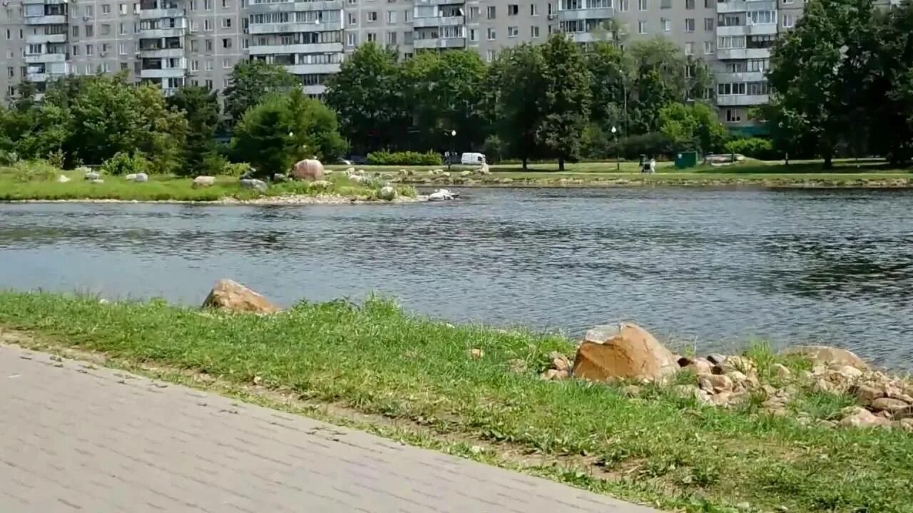 Ангарские пруды москва. Ангарские пруды концерт. Ангарские пруды яблоневый сад. Парк ангарские пруды. Ангарский пруд волгоград.