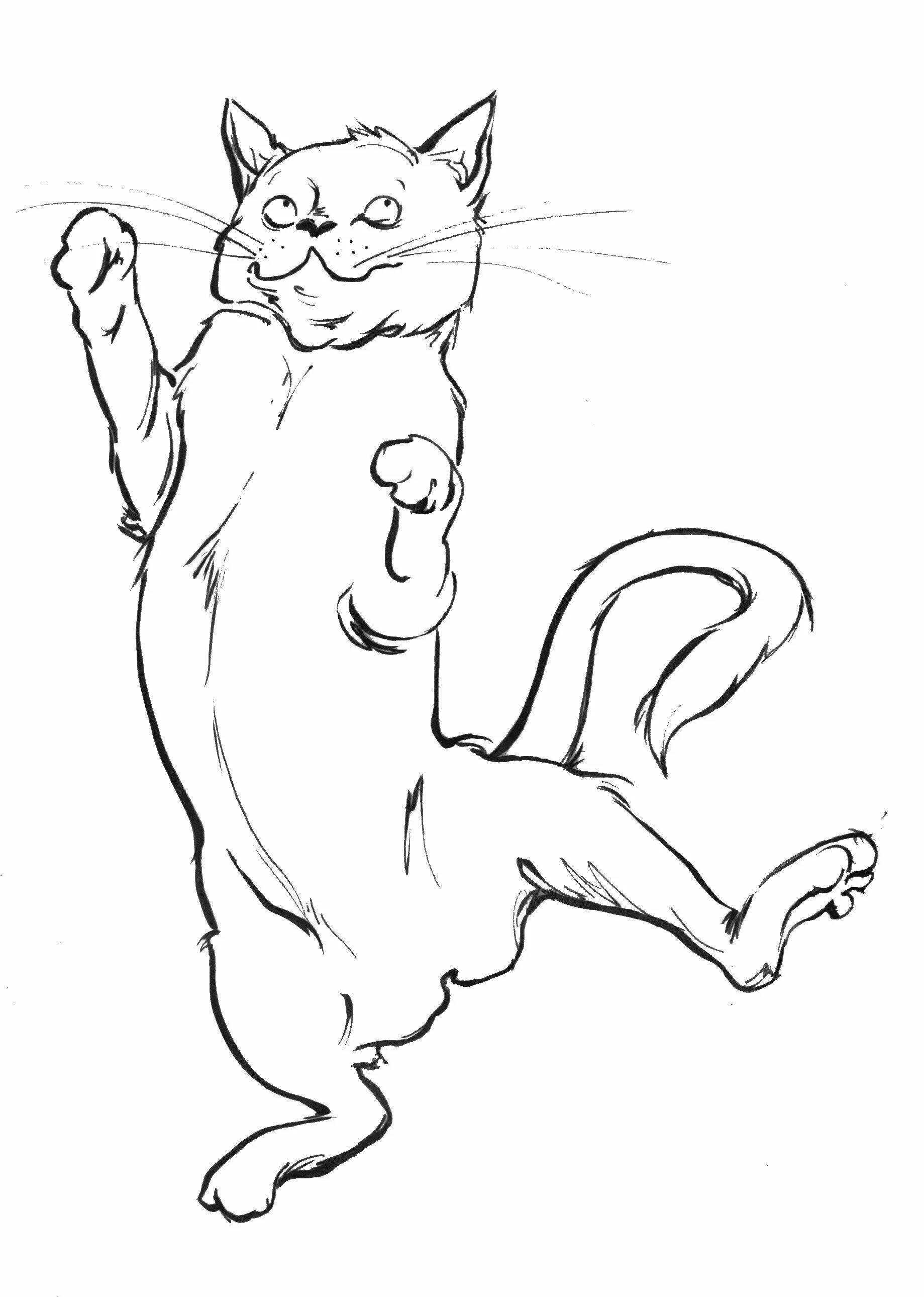 Смешные рисунки кошек карандашом. Раскраска кот в прыжке. Раскраска кот на задних лапах. Кошка прыгает рисунок.