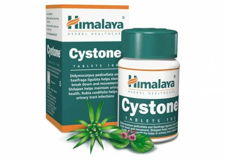 Цистон хималайя. Himalaya цистон. Cystone himalaya 60. Цистон хималая. Аюрведа цистон.