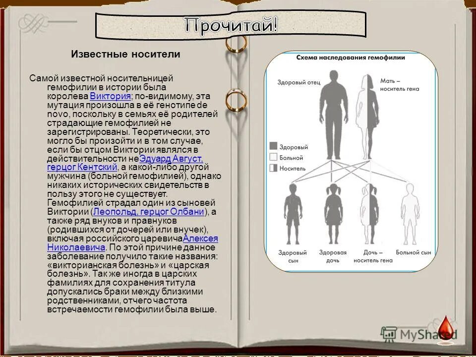 Генотип женщины носительницы гемофилии