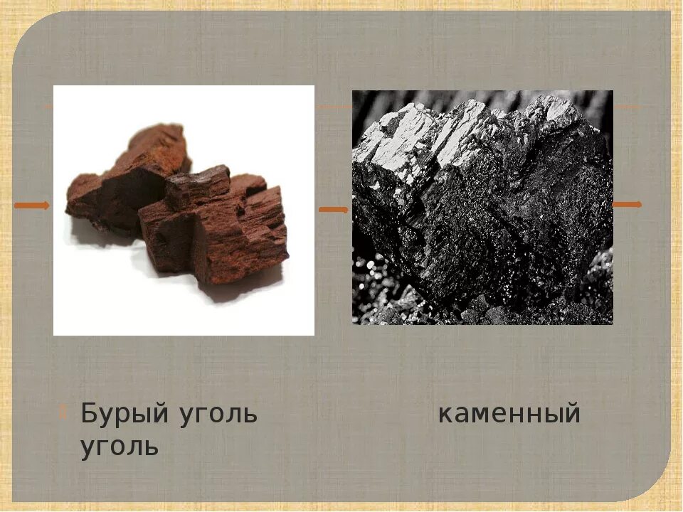 Уголь какой вид полезного ископаемого. Бурый уголь (лигниты), каменный уголь, антрацит, графит.. Полезное ископаемое каменный и бурый уголь-. Отличие бурого угля от каменного угля. Бурый и каменный уголь отличия.