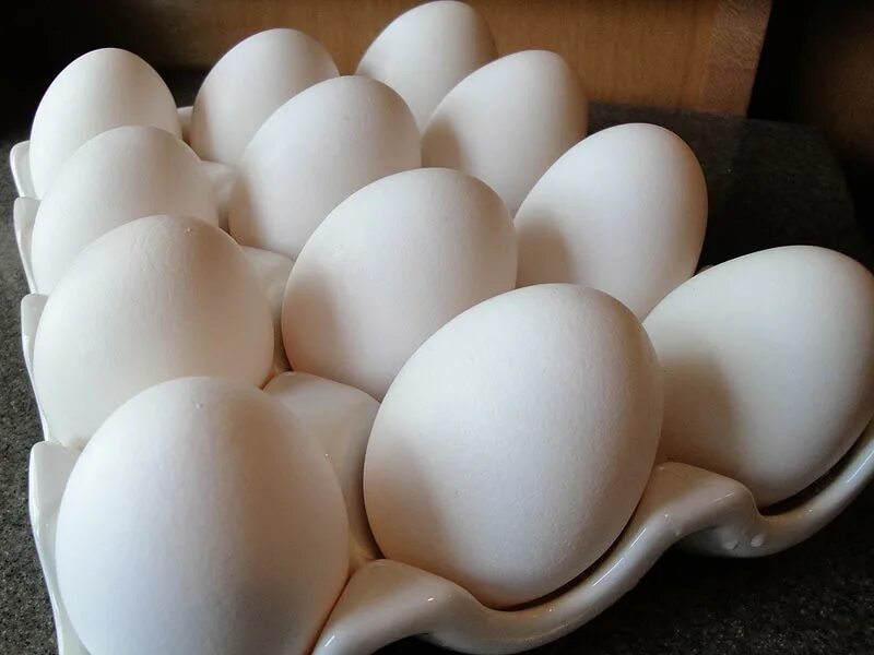 Яйца купить ставрополь. Яйцо куриное. Крупные куриные яйца. Яйцо белое. Фото яиц куриных.