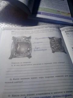 Какое значение имеет пора