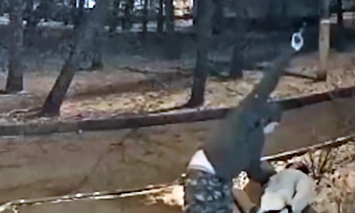 13 летняя девочка перестреляла шайку бандитов. 13 летняя девочка перестреляла шайку бандитов. Василий дунец. 13 летняя девочка перестреляла шайку бандитов. 13 летняя девочка перестреляла шайку бандитов.