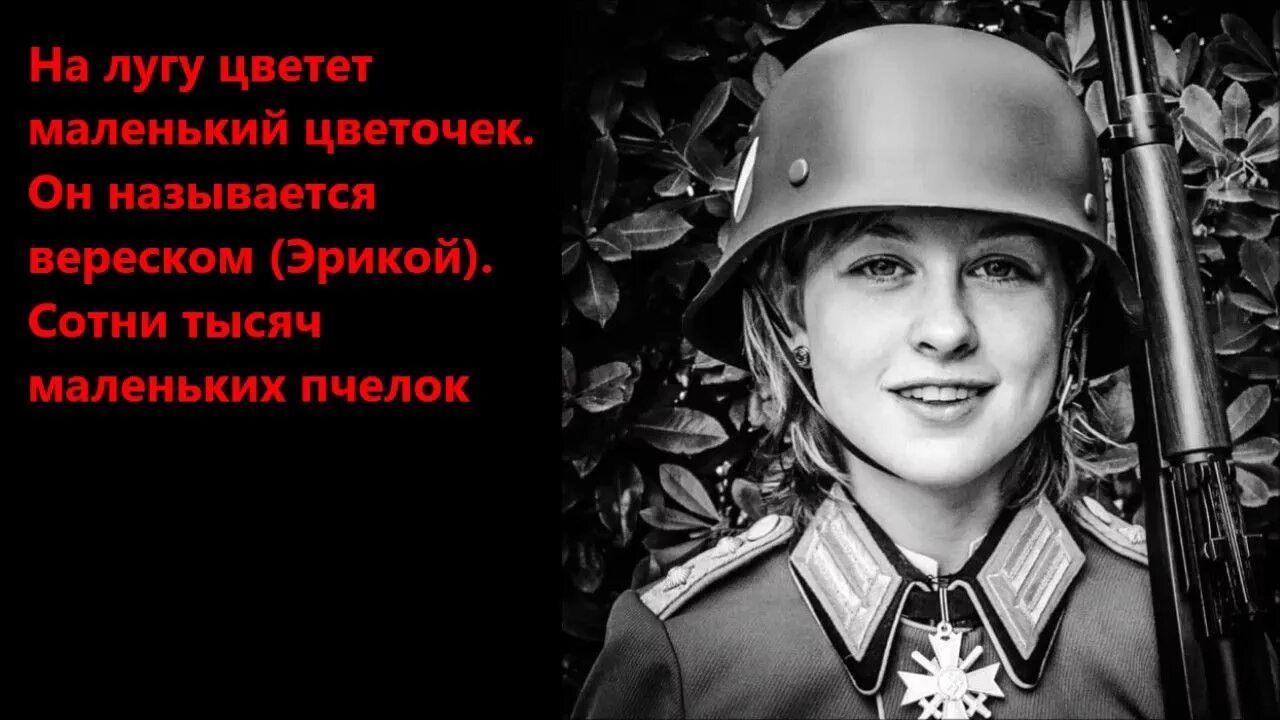 Erika марш. Erika march. Herms niel erika. Erika march. Erika текст на немецком.
