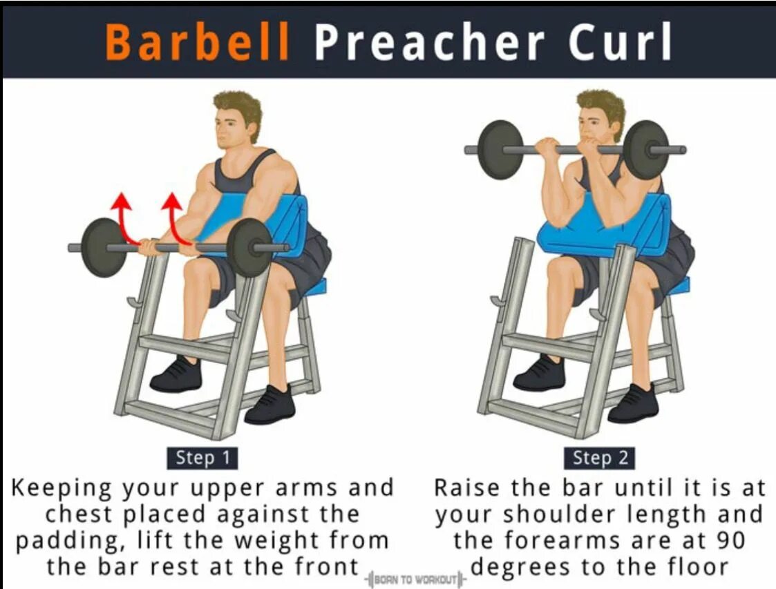 Curl se. Barbell or Preacher Curls. Barbell Preacher Curl. Preacher Curls. Barbel Preacher Curls.