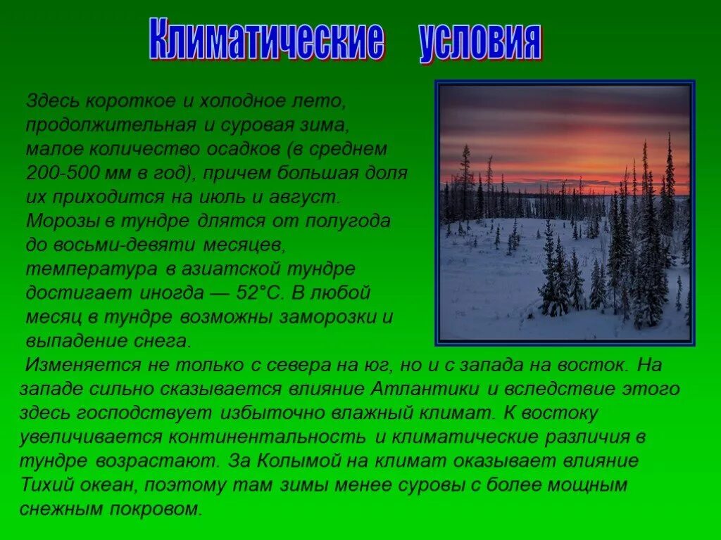 Условия тундры кратко. Природная зона тундра климат. Климатические условия тундры. Тундра климатические условия природной зоны. Климатические условия тундры в России.