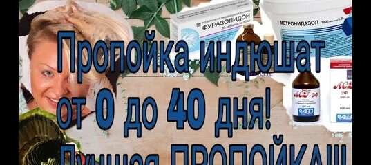 Пропойка индюков от 0. Пропойки индюков. пропойки для индюшат от 0.