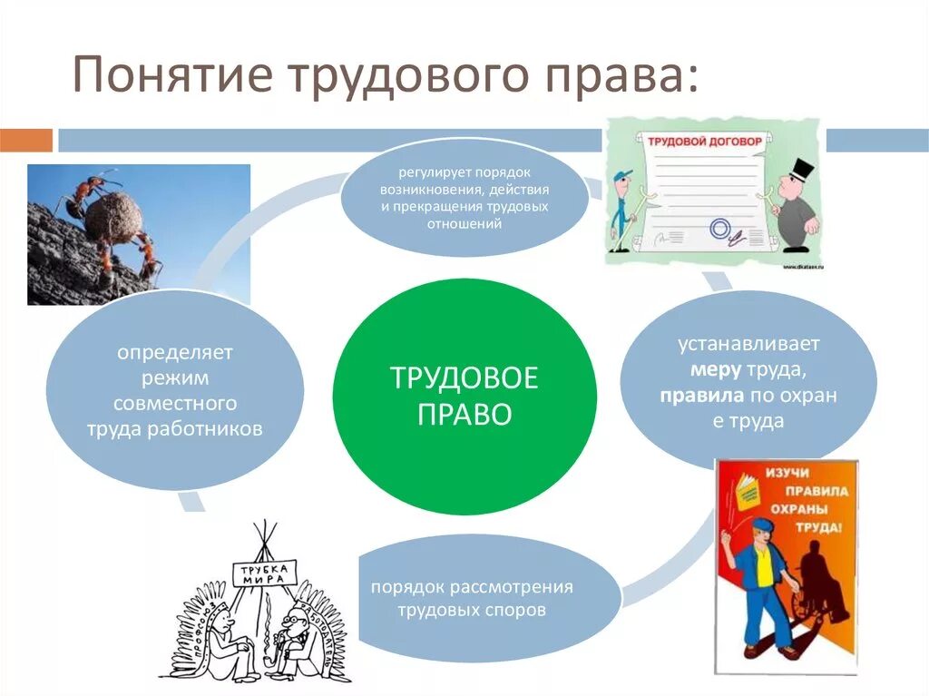 Трудовое право описание. Основные понятия трудового законодательства.