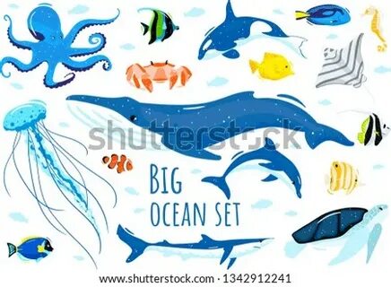 Ocean set