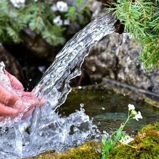 Какая вода в роднике