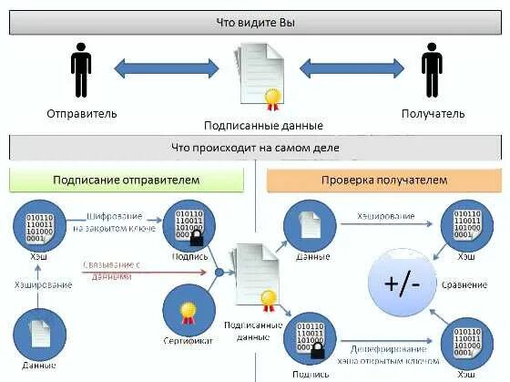 Работа эп. Схема проверки электронной цифровой подписи. схема получения ключа электронной подписи. как работает проверка электронной подписи. подписание эп схема.