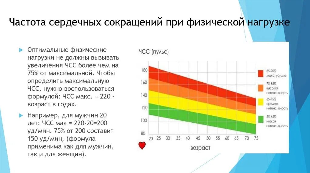 У нетренированных людей после физической работы. Частота сердечных сокращений у детей при физических нагрузках. Частота пульса после физической нагрузки норма. ЧСС после физической нагрузки. Изменение ЧСС при физической нагрузке.