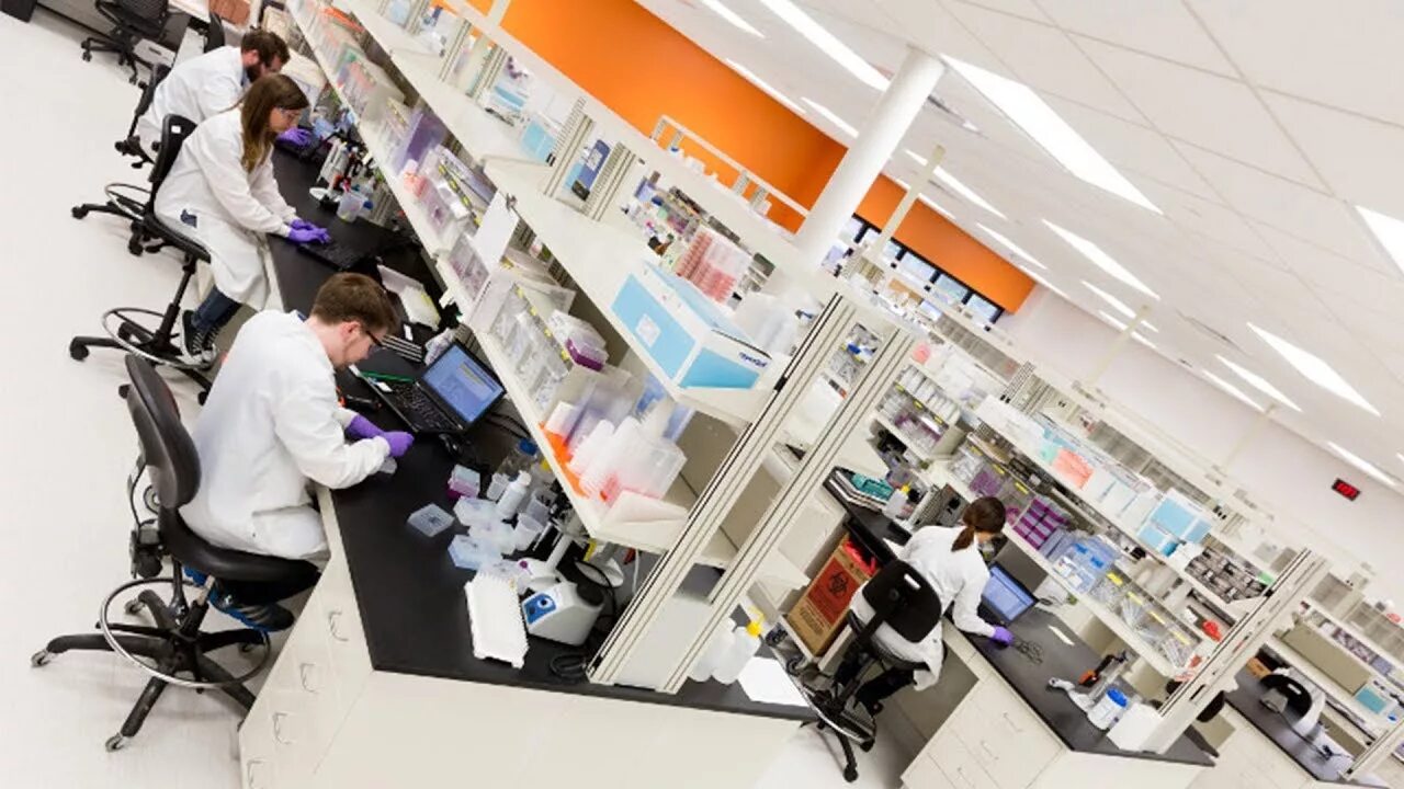 Лаб тур. Спектрофотометр спектрофотометр genesys 10s uv-vis. Алс чита лаборатория. Ppd смоленск. Лаб тур.