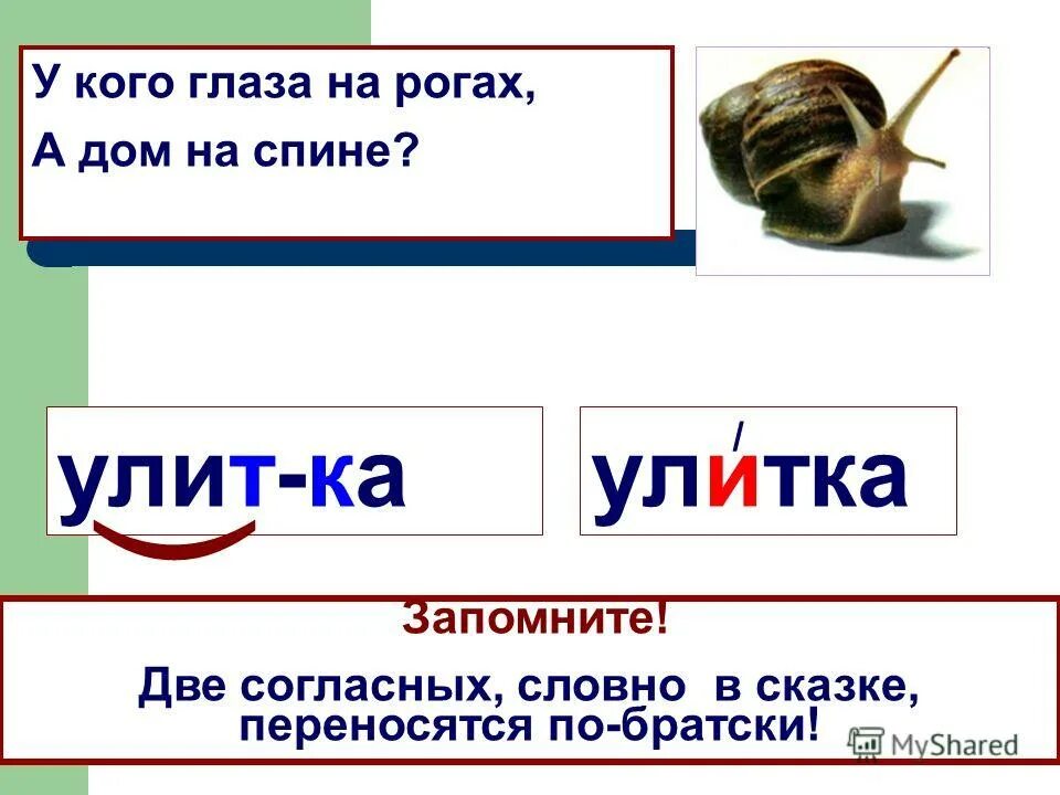 Слова из слова улитка. У кого глаза на рогах а дом на спине. Глаза на рогах а дома на спине хвост грибком.