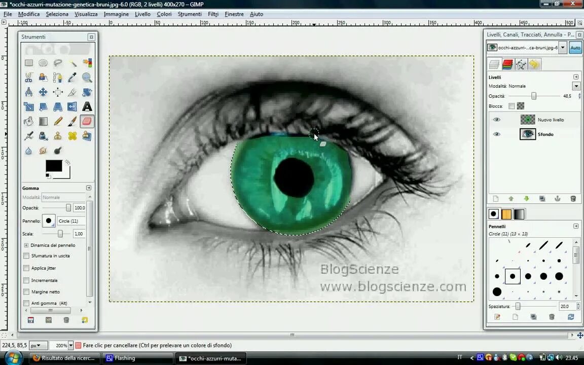 Gimp создать изображение. Gimp создать изображение