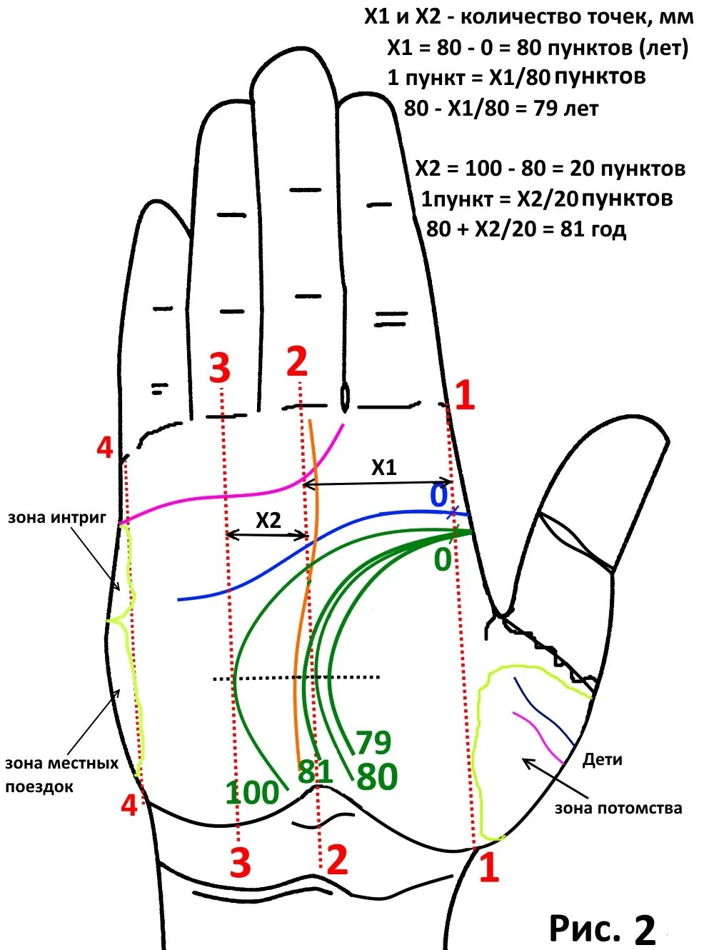 Датировка по линии жизни на руке. Линия жизни на ладони. Возраст на линиях руки. Хиромантия линия жизни. По линиям на руке можно