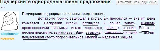 Как подчеркнуть однородные слова в предложении