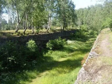Восточно выборгский