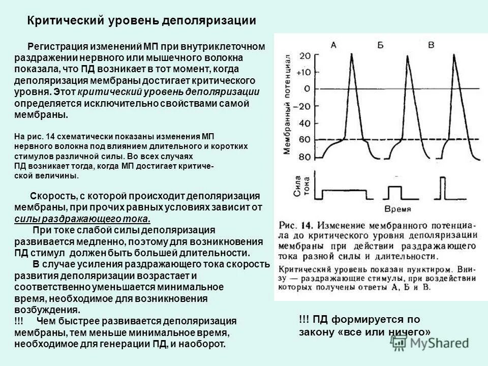 Код изменений в проекте. Нормализация заэвтектоидной стали. Критичность рынка труда показывает:. Критичные изменения. Критичные изменения.