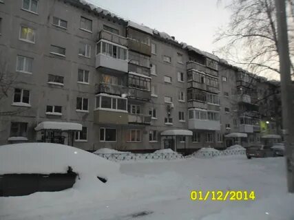 Бела куна 24
