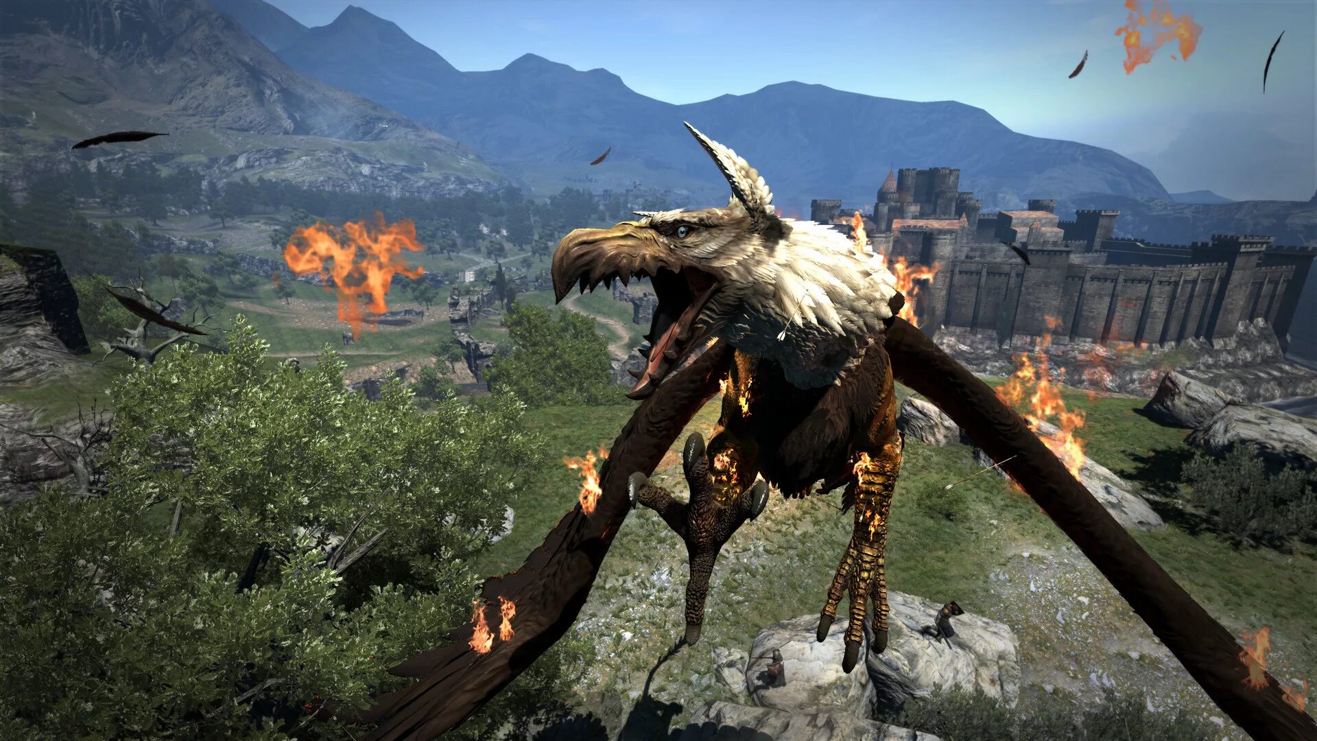 Dragon's Dogma: Dark Arisen. Игра Dragons Dogma Dark Arisen. Dragon s Dogma 2. Драгонс Догма 1.