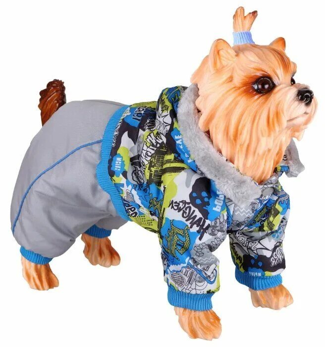 Одежда для собак йорков мальчиков. Комбинезон тузик лабрадор. Валберис одежда для собак йорков. Шпиц в комбинезоне. Комбинезон для собаки мальчик.