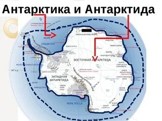 арктика и антарктика в чем разница