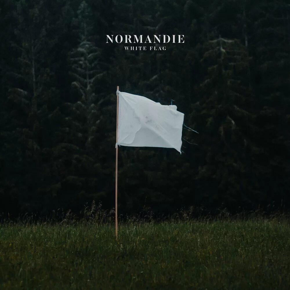 Песня нормандия. Белые флаги. Normandie группа логотип. Normandie White Flag. Белый флаг на войне.