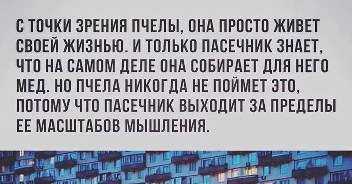 Украина точки зрения. С точки зрения пчелы она просто живет. С точки зрения пчелы она живет своей жизнью. Пчела живет своей жизнью и только. С точки зрения пчелы она просто живет своей жизнью и только.