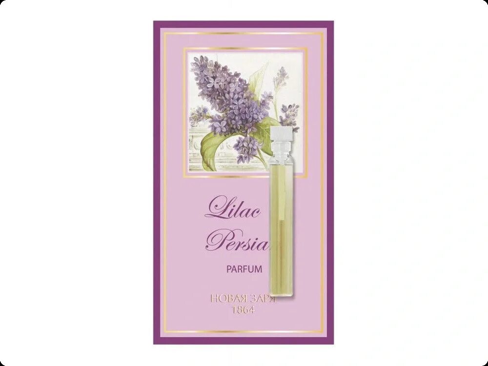 Духи lilac. Персидская сирень духи. духи персидская сирень брокар. персидская сирень туалетная вода. женские духи с запахом сирени и крыжовника.