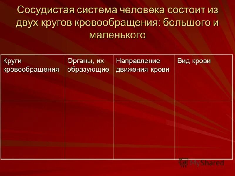 Круги кровообращения органы их образующие направление движения крови вид таблица