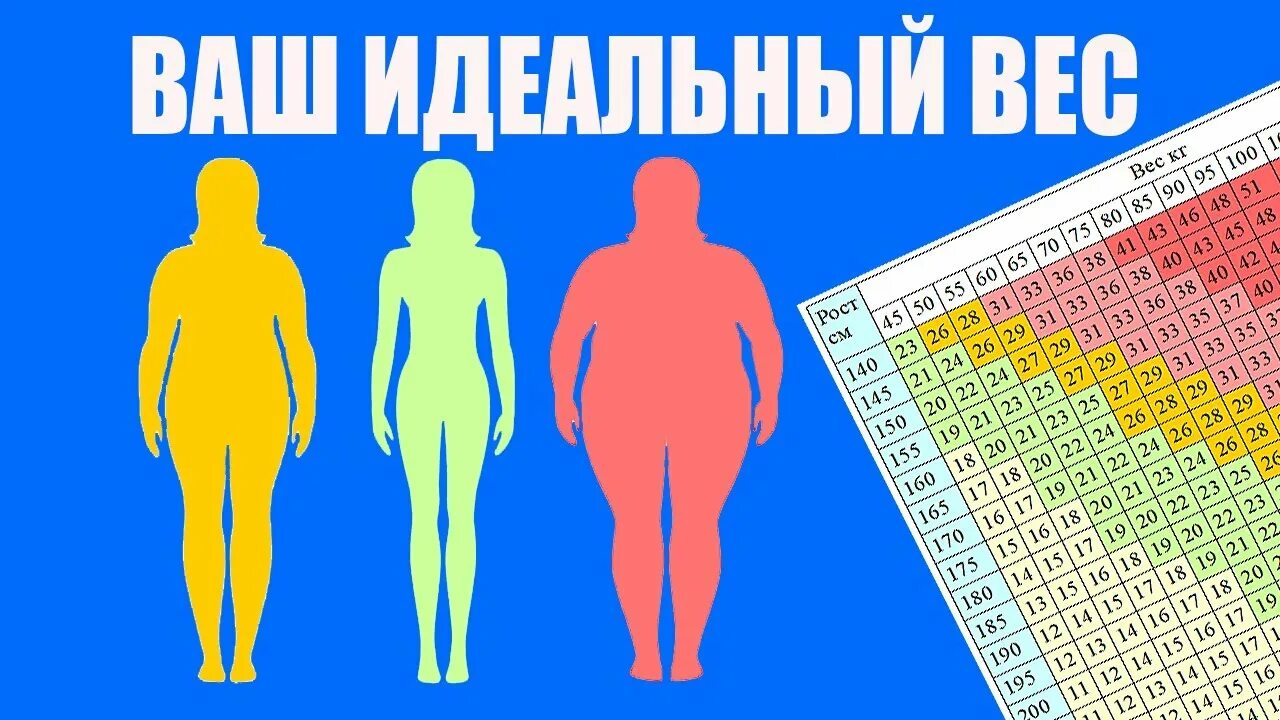 Норма веса при 169. Идеальный вес. Норма веса. Рост и вес. Норма веса при росте.