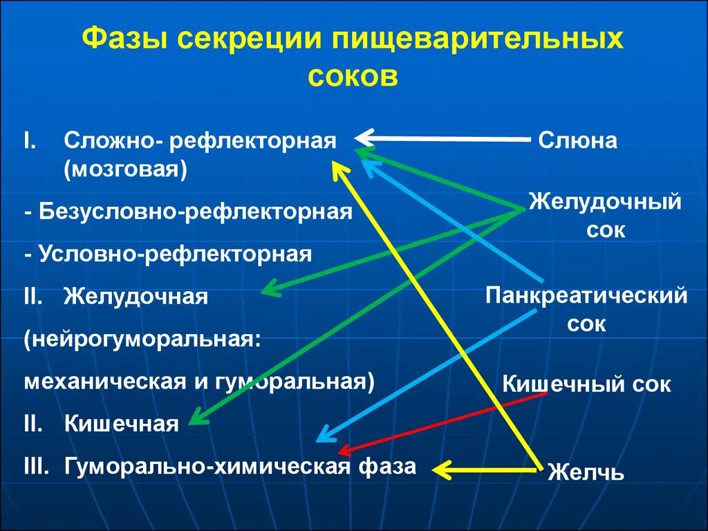 Состоит из четырех фаз. Мозговая фаза желудочной секреции схема. Кишечная фаза секреции желудочного сока. Кишечная фаза желудочной секреции физиология. 3 Фазы желудочной секреции.