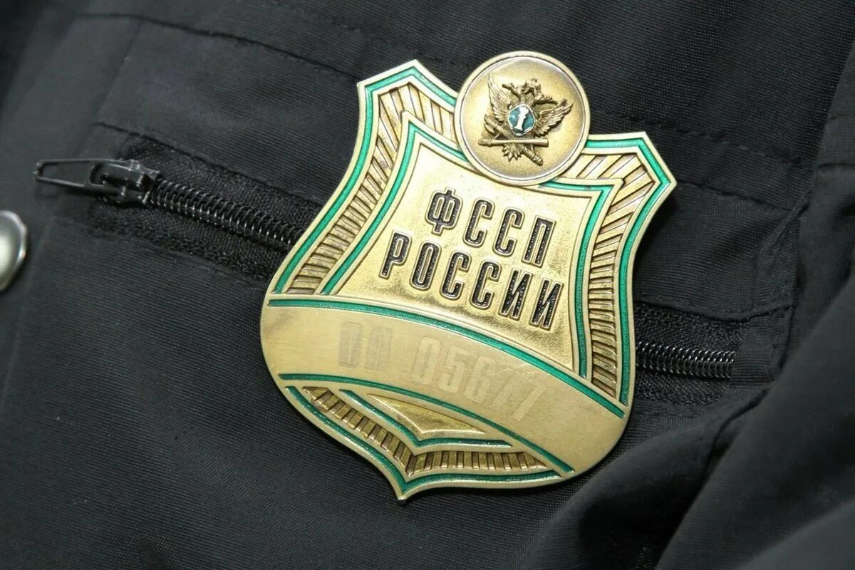 Судебный пристав ФССП. Заслуженный судебный пристав Российской Федерации. ФССП картинки. Футболка ФССП. Сайт российских приставов