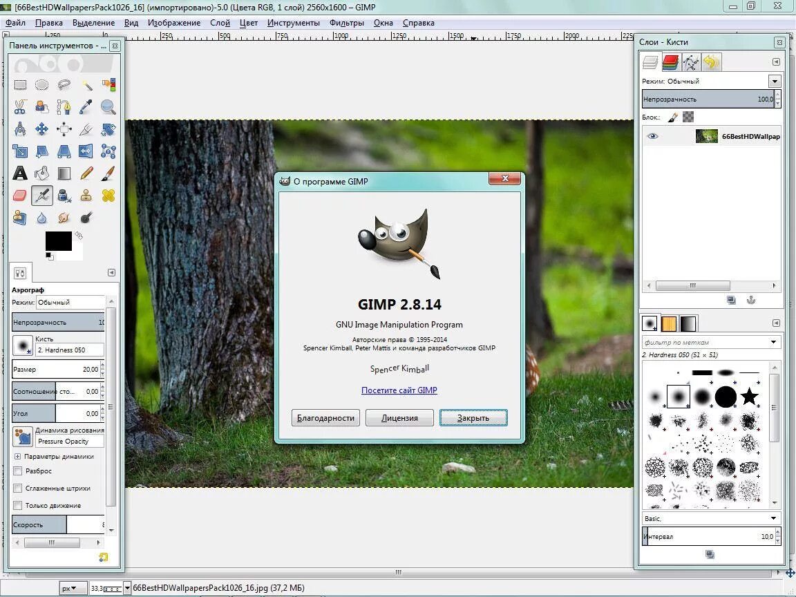 Gimp версии. Gimp. графический редактор gimp. gimp программа. гимп редактор.