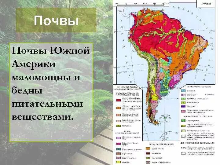 Какие природные ресурсы в латинской америке. Карта почв Южной Америки. Почвы Южной Америки. Почвы Южной Америки 7 класс география. Почвенные ресурсы Латинской Америки на карте.