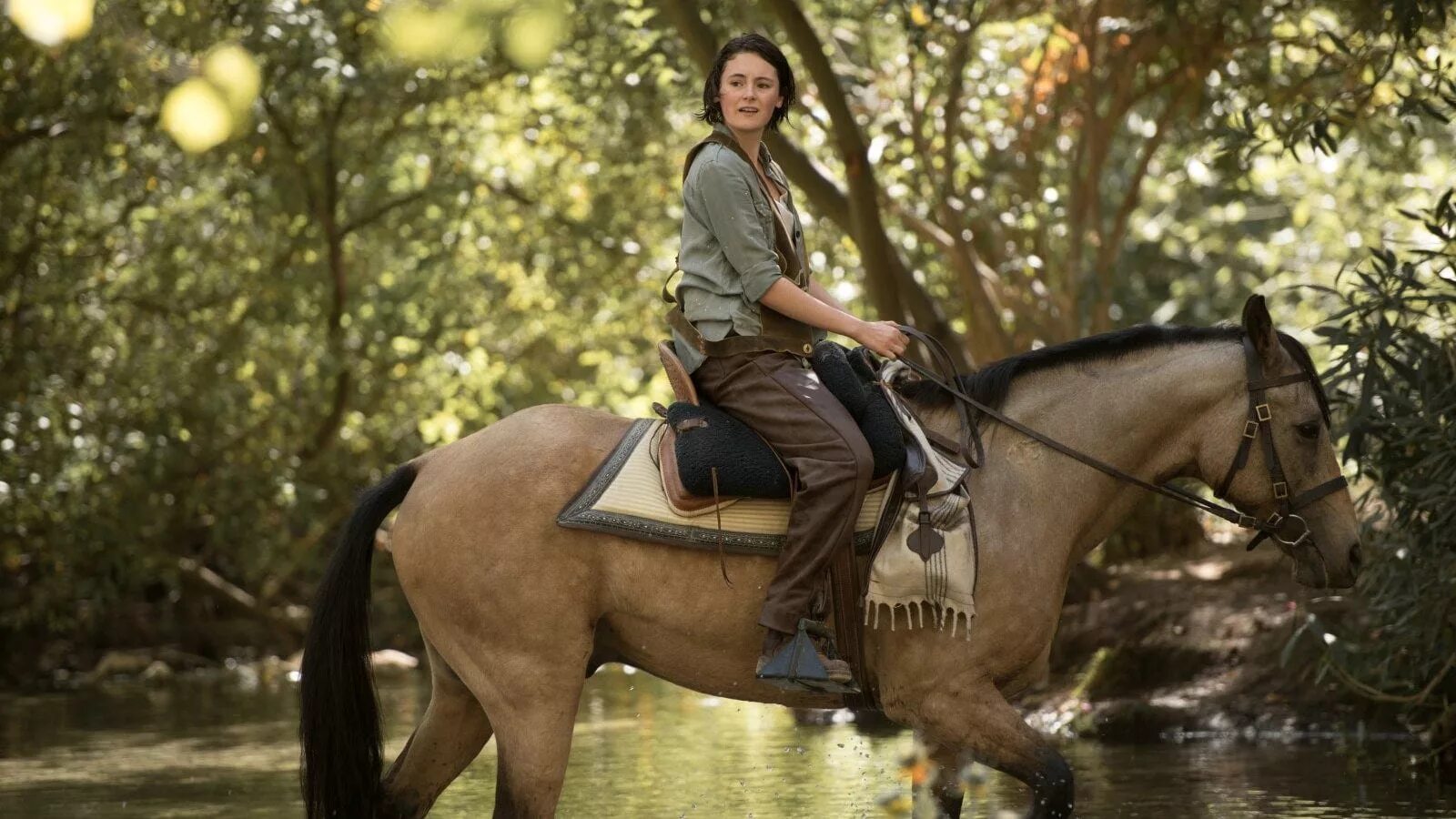 I m a horse