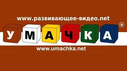 2 video net