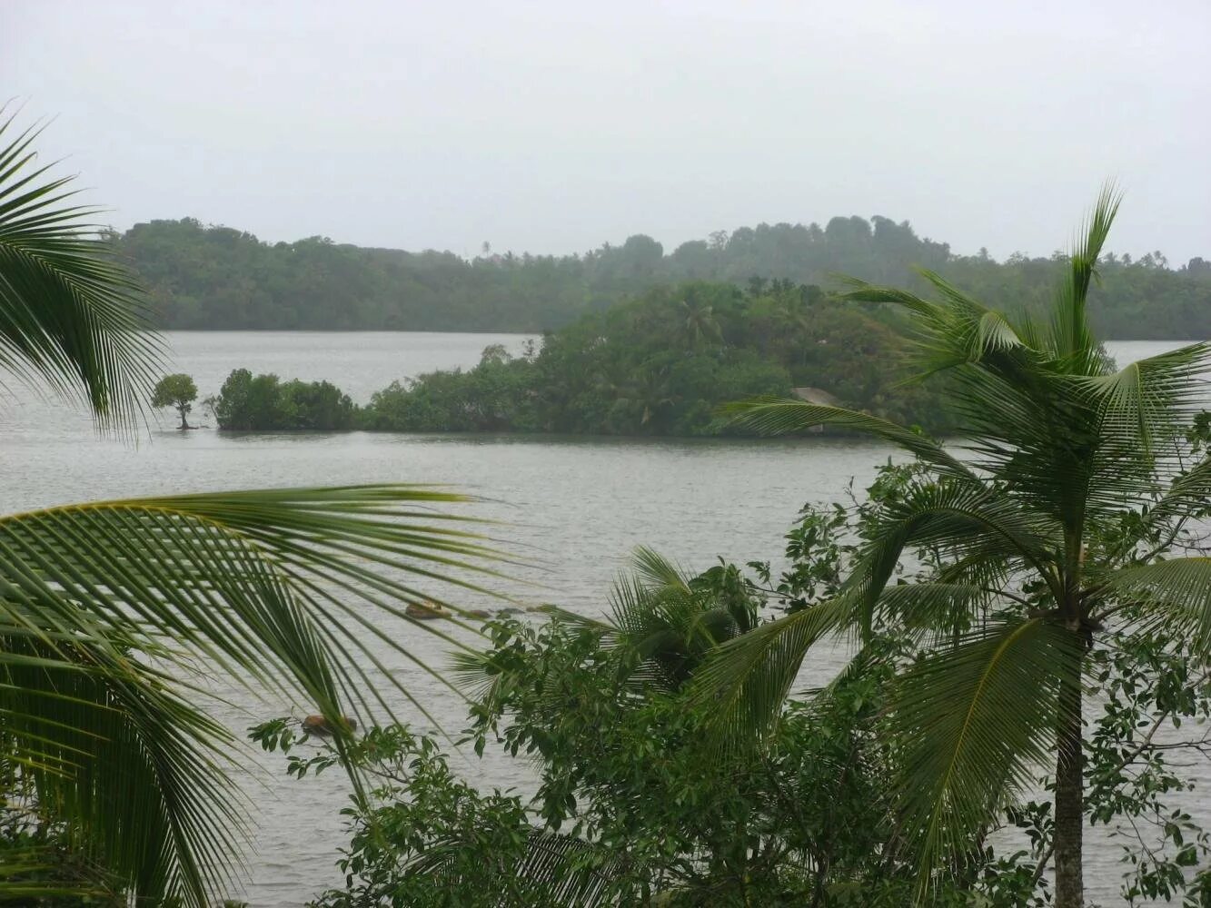 Озера шри ланки. Озеро Коггала Шри Ланка. Озеро Галла Шри Ланка. Озеро Когалла крокодилы Коггала. Озеро Коггала Шри Ланка животные.