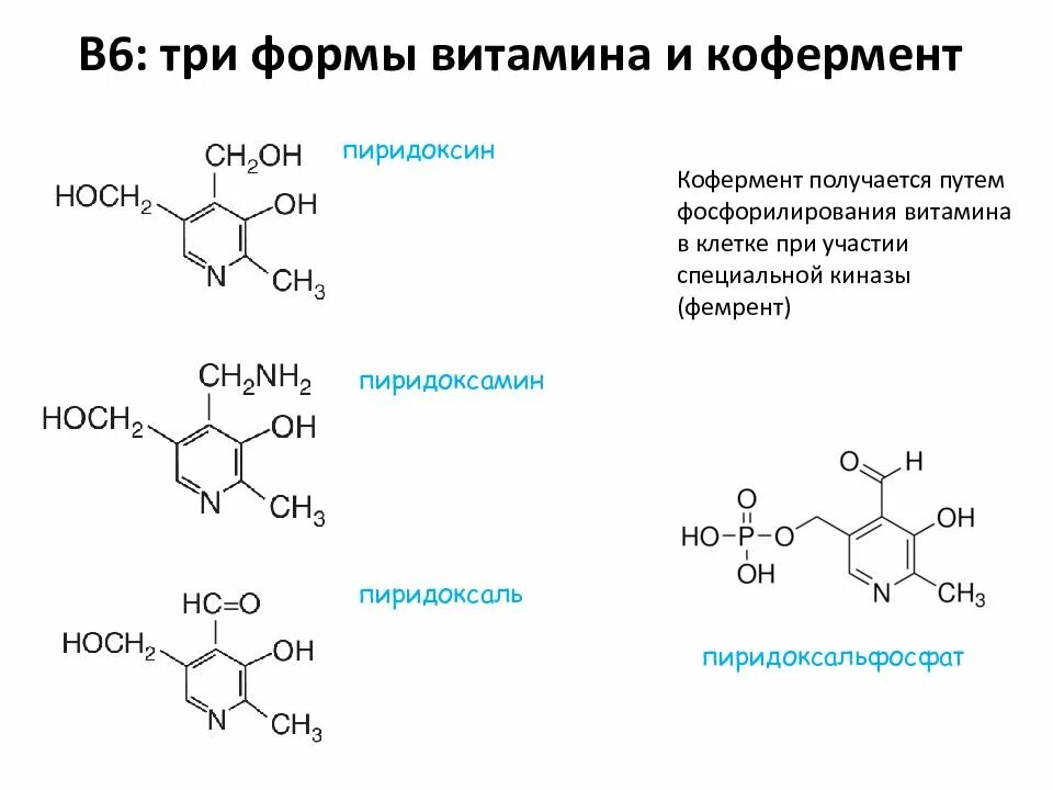 Стабильные формы витамина с. Реакции с участием витамина в6 схема. формулы активных форм витамина в6. витамин в6 строение. витамин рутин кофермент.