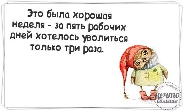 Это была хорошая неделя. Уволился с работы. Эта была хорошая неделя уволиться хотелось три. Бухгалтер в конце года. Хочу уволиться форум