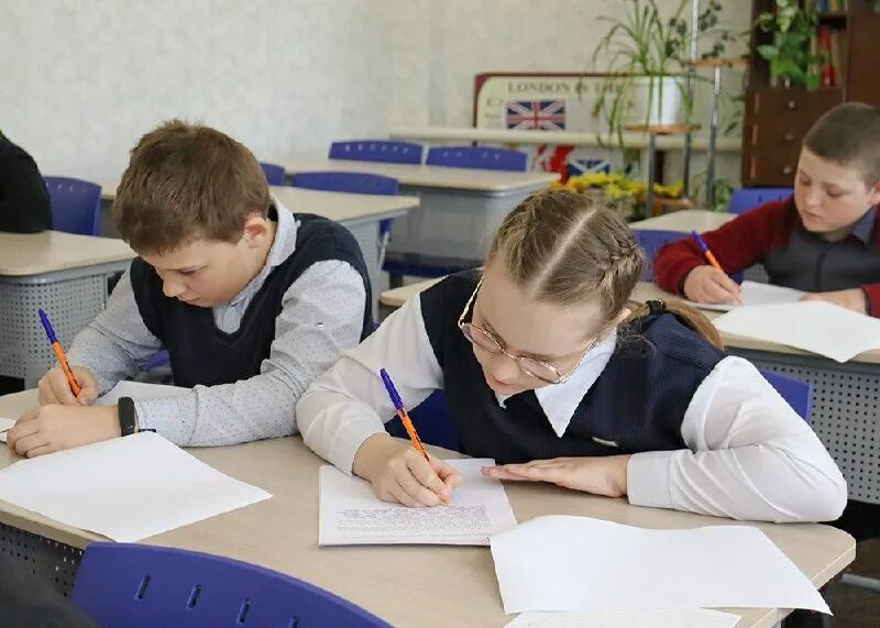 Напишу впр. Напишу впр