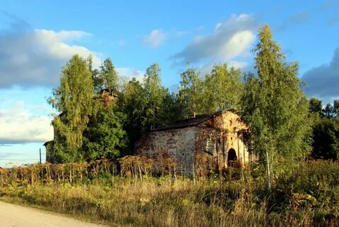 Архангельская область вилегодский